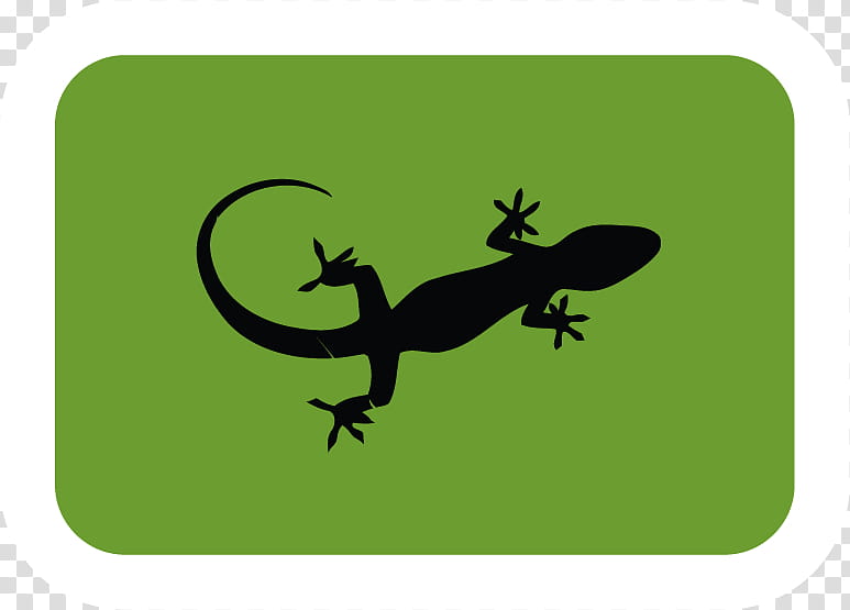 Are geckos reptiles or hot sale amphibians