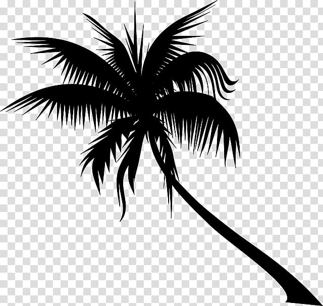 Coconut Tree, Dypsis Decaryi, Areca Palm, Adonidia, Plants, Palm Trees, Blackandwhite, Arecales transparent background PNG clipart