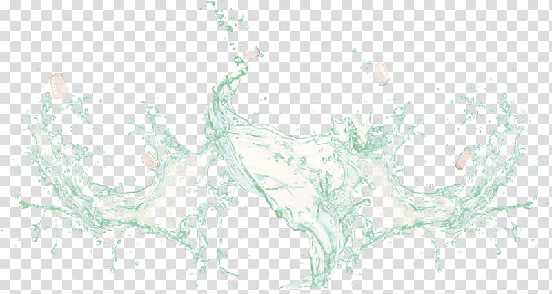 White Tree, Line Art, Water, Plants, Branch, Drawing transparent background PNG clipart