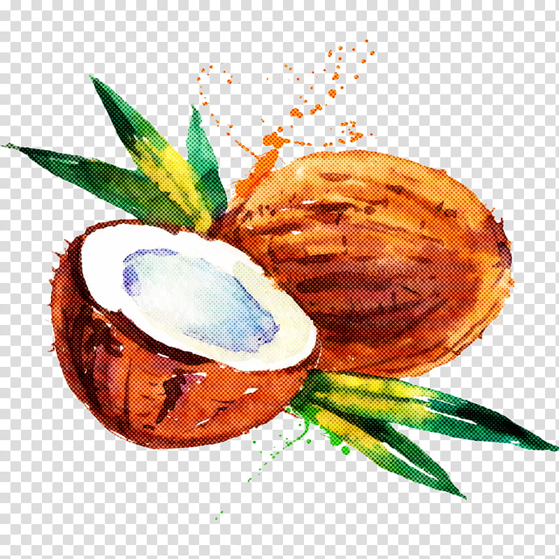 Palm tree, Coconut, Coconut Water, Plant, Food, Drink, Attalea Speciosa transparent background PNG clipart