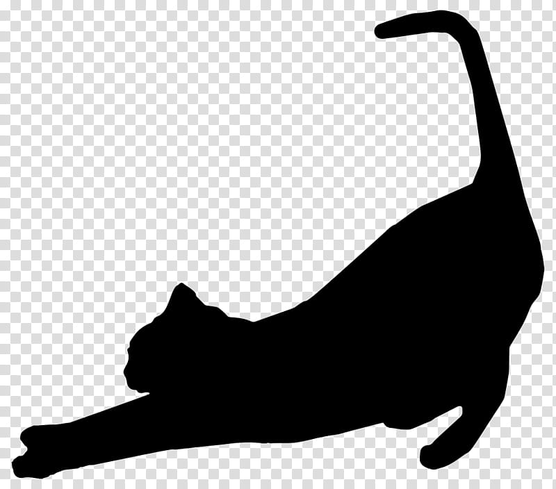 Cat Silhouette, Black Cat, Stretching, Marjariasana, Small To Mediumsized Cats, Tail, Whiskers, Blackandwhite transparent background PNG clipart