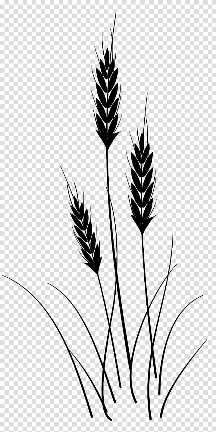 Grasses Brushes, three black grass illustration transparent background PNG clipart