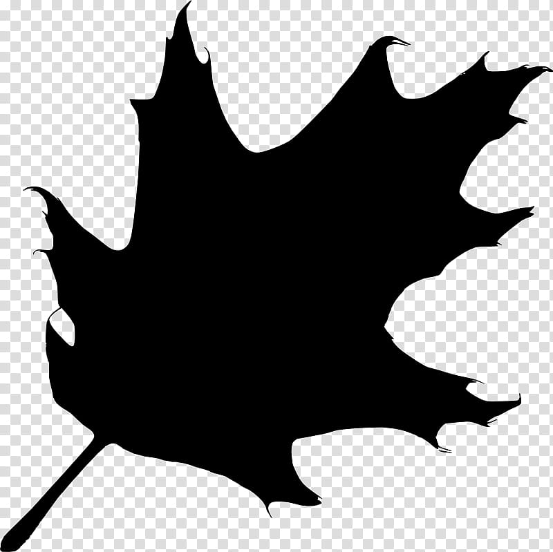 Oak Tree Silhouette, Leaf, Drawing, Branch, White, Black, Blackandwhite, Maple Leaf transparent background PNG clipart