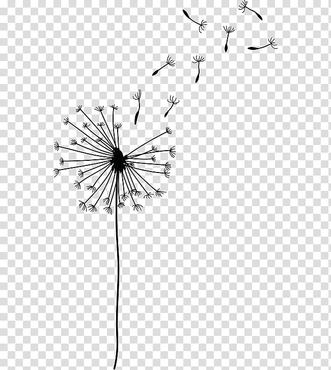 Drawing Of Family, Silhouette, Dandelion, Desktop , Comparazione Di File Grafici, Encapsulated PostScript, , White transparent background PNG clipart