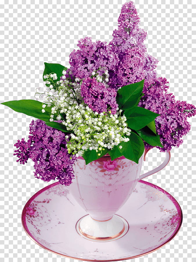 Lily Flower, Flower Bouquet, Garden Roses, Vase, Purple, Lilac, Mauve, Floral Design transparent background PNG clipart