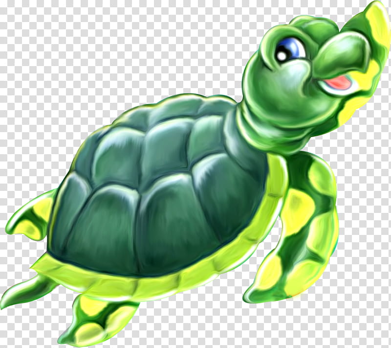 Sea Turtle, Reptile, Drawing, Green Sea Turtle, Tortoise, Painted Turtle, Modern Sea Turtles, Leatherback Sea Turtle transparent background PNG clipart