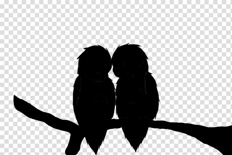Love Bird, Beak, Human, Silhouette, Behavior, Black, Wing, Branch transparent background PNG clipart