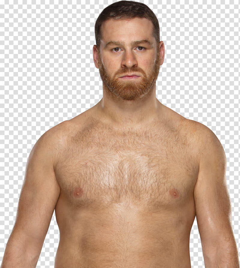 Sami Zayn  NEW transparent background PNG clipart