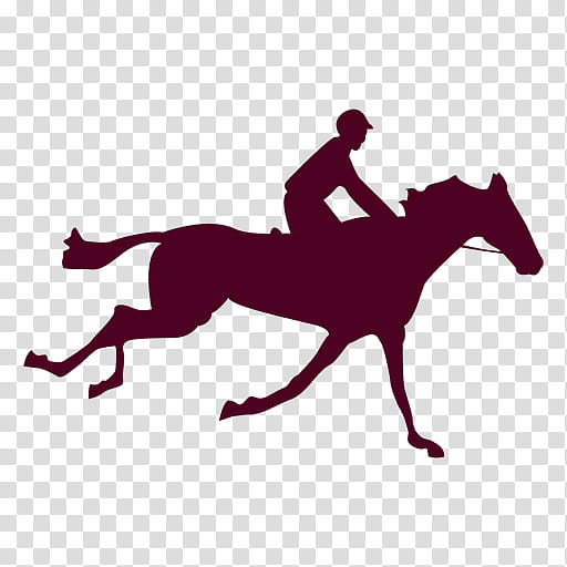 Horse, Animal Locomotion Plate 626, Human Figure In Motion, Drawing, Eadweard Muybridge, Sallie Gardner At A Gallop, Animal Sports, Rein transparent background PNG clipart