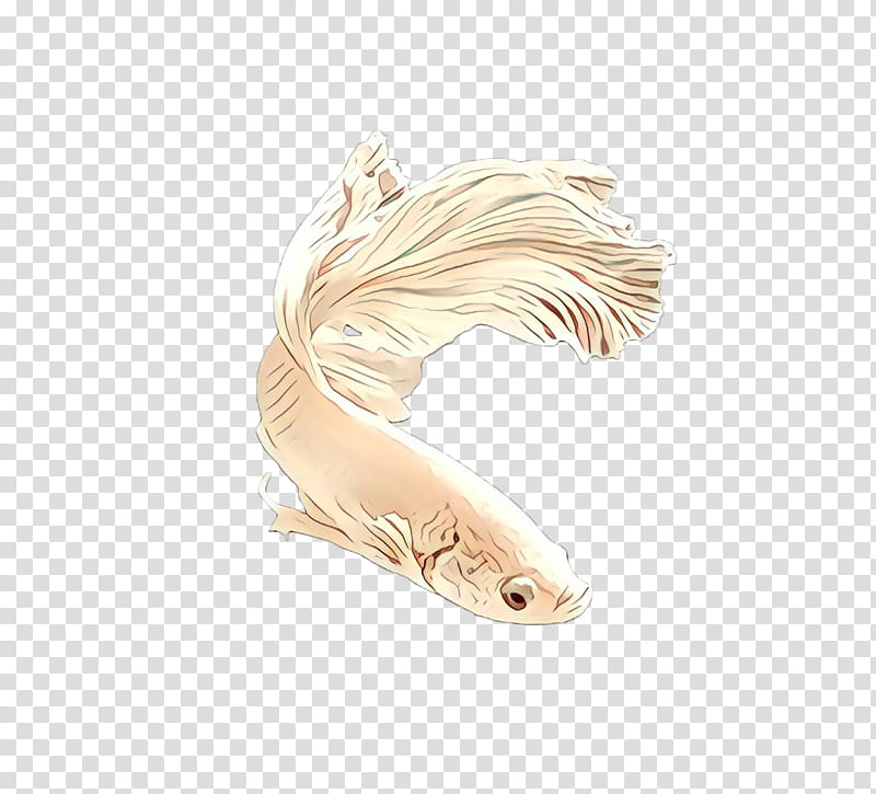 Koi Fish Tail