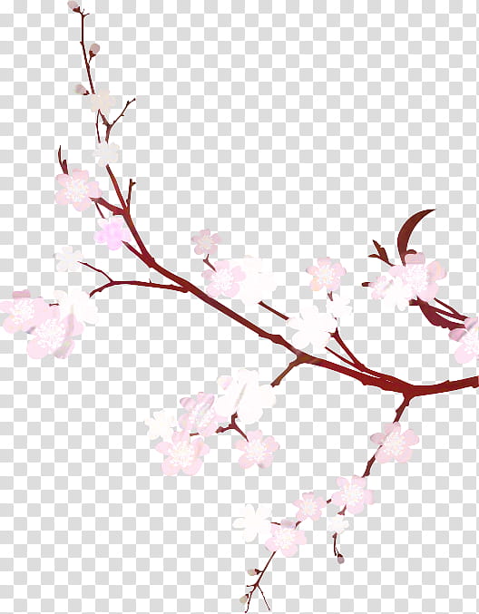 Cherry Blossom, Flower, East Asian Cherry, Branch, Japanese Maple, Cherries, Dogwood, Pink transparent background PNG clipart