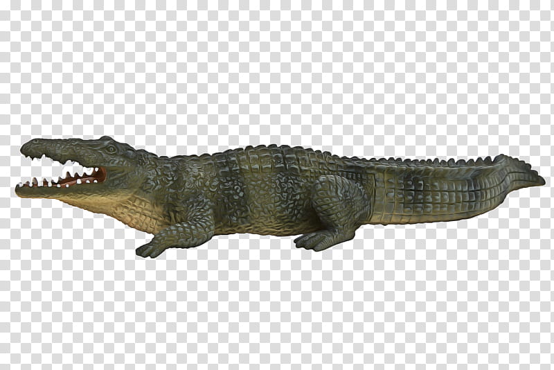 Alligator, Nile Crocodile, Alligators, Animal, Toy, Figurine, Mojo Fun Figure, Collecta transparent background PNG clipart