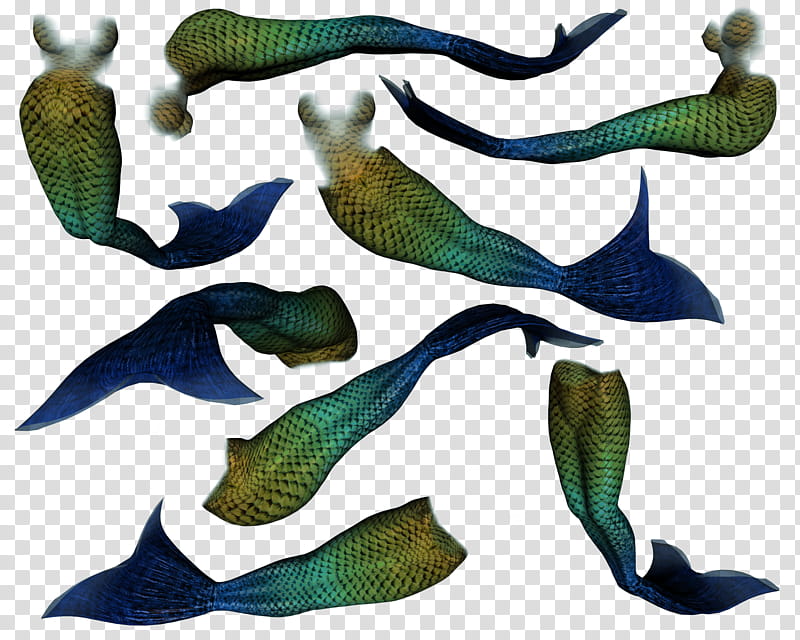 Mertails Bluefish, blue and green mermaid tails transparent background PNG clipart