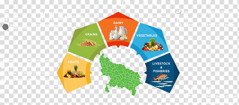 India Food, Maharashtrian Cuisine, Uttar Pradesh, Indian Cuisine, Tamil Cuisine, Biryani, Tea, Papadum transparent background PNG clipart