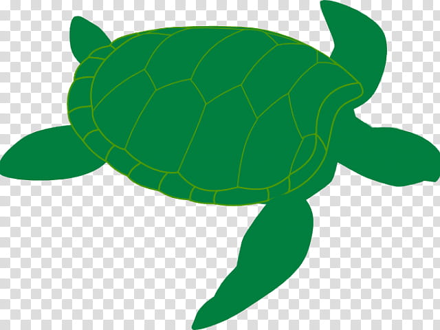 Sea Turtle, Reptile, Baby Sea Turtle, Green Sea Turtle, Common Snapping Turtle, Leaf, Loggerhead, Tortoise transparent background PNG clipart