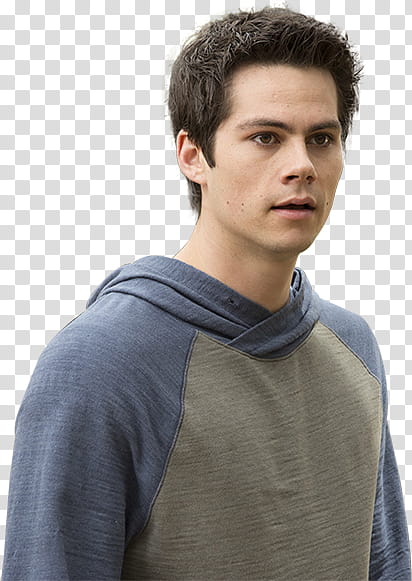 Stiles transparent background PNG clipart