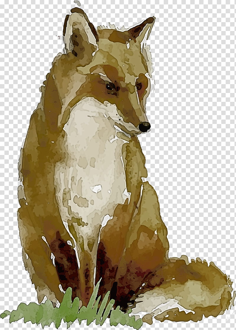 red fox swift fox fox wildlife snout, Coyote, Animal Figure, Red Wolf, Fawn, Jackal, Dhole transparent background PNG clipart