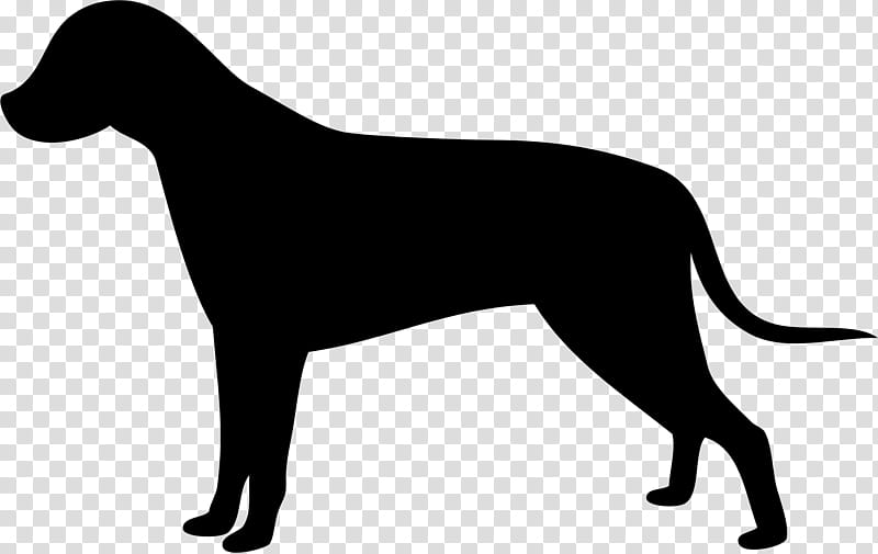 Dog Silhouette, Labrador Retriever, English Mastiff, Conformation Show, Show Dog, Attack Dog, Animal, Gun Dog transparent background PNG clipart