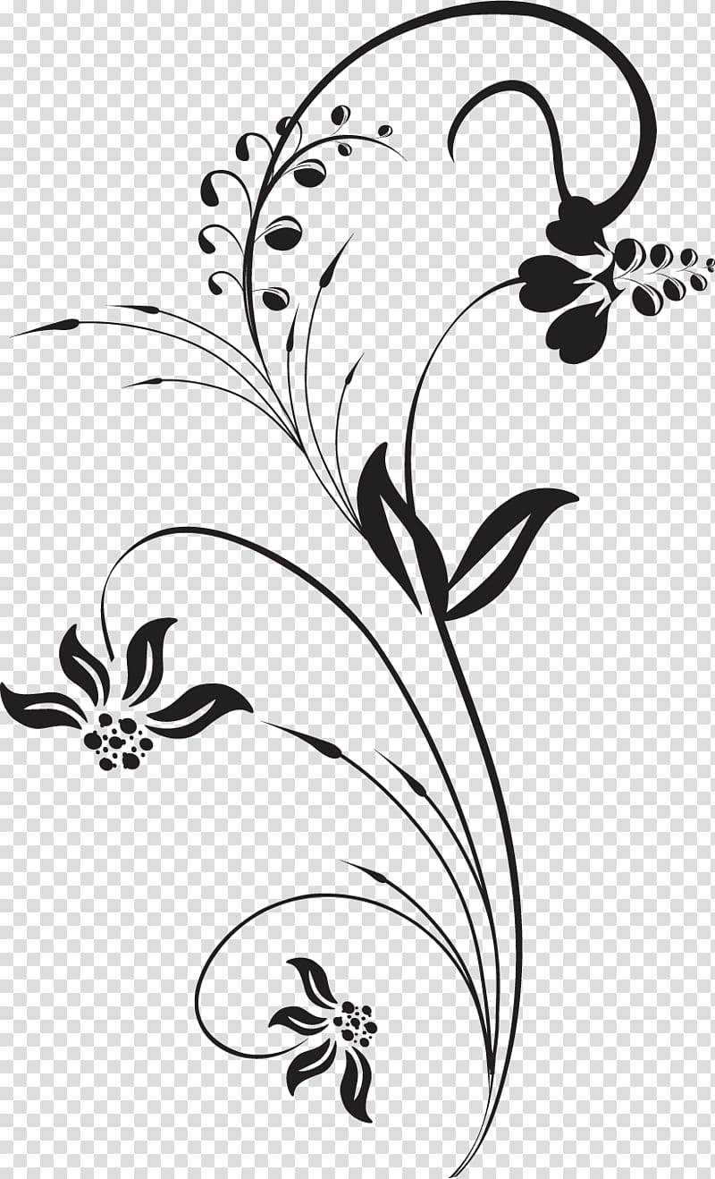 visual art clipart black and white flower