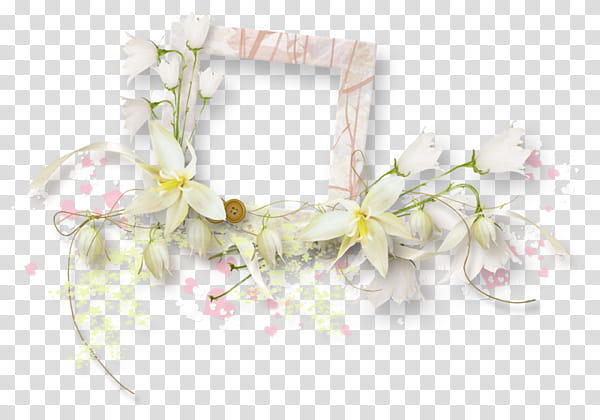 Summer, square white floral frame transparent background PNG clipart