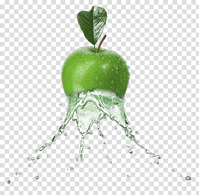 Green Leaf, Apple, , Manipulation, Digital Art, Tutorial, Food, Granny Smith transparent background PNG clipart
