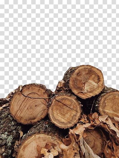 Fall, brown wood logs transparent background PNG clipart