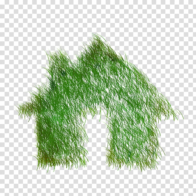 Green Grass, Building, Energy, Statute, Grasses, World Energy Consumption, Interest, Apartment transparent background PNG clipart