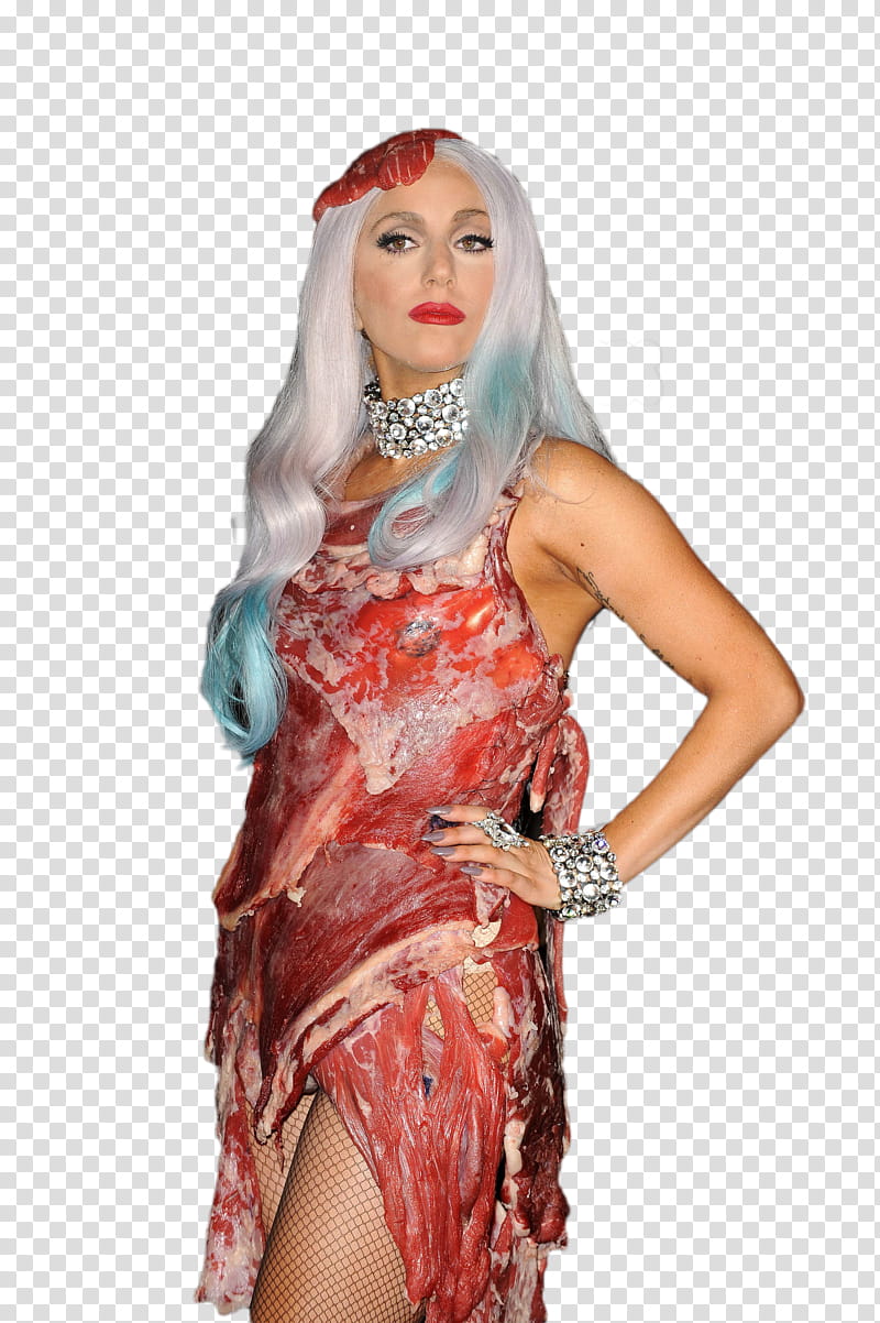 Lady Gaga Vestido de Carne transparent background PNG clipart
