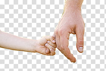 hands, child's hand holding man's hand transparent background PNG clipart