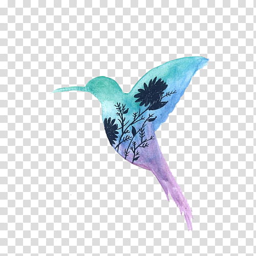 Watercolor Bird s, hummingbird shaped black flowers transparent background PNG clipart