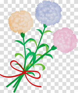 flower plant tagetes cut flowers plant stem, Mothers Day Carnation, Mothers Day Flower, Watercolor, Paint, Wet Ink, English Marigold transparent background PNG clipart thumbnail