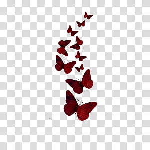 red butterflies transparent background PNG clipart