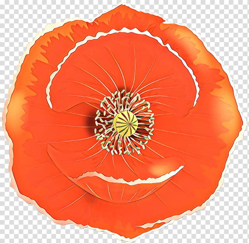 Orange, Cartoon, Red, Oriental Poppy, Poppy Family, Corn Poppy, Plant, Flower transparent background PNG clipart