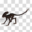 Spore creature Xenomorph runner transparent background PNG clipart
