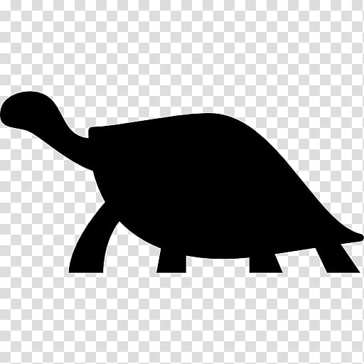 Turtle, Via Mazzini, Via Cairoli, Facebook, Tortoise, Silhouette, Blackandwhite transparent background PNG clipart