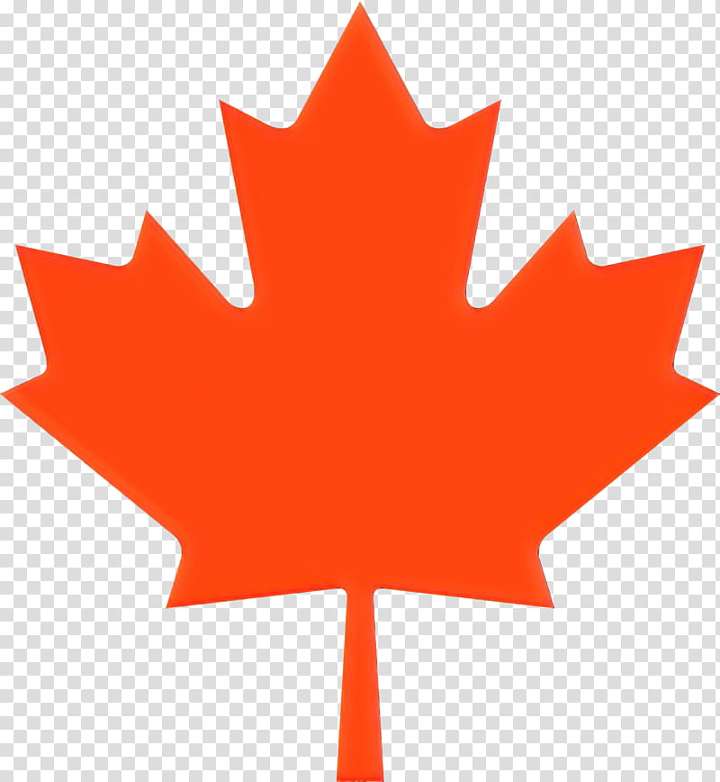 Black Day Symbol, Canada Day, Maple Leaf, Red Maple, Flag Of Canada, Tree, Woody Plant, Orange transparent background PNG clipart