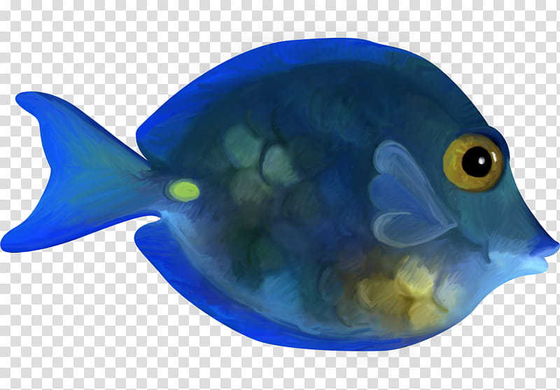Coral Reef, Fish, Blue, Color, Coral Reef Fish, Computer Software, Volume, House transparent background PNG clipart