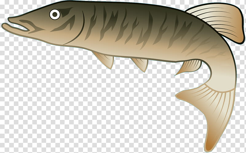 Fish, Jaw, Lunge, Bass transparent background PNG clipart
