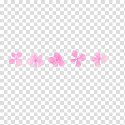 , five pink petaled flowers illutration transparent background PNG clipart