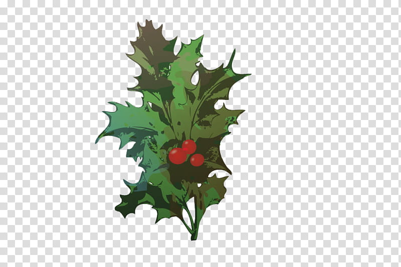 Christmas Materials , red mistletoe illustration transparent background PNG clipart