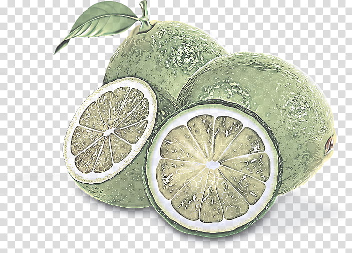 citrus lemon fruit lime persian lime, Plant, Leaf, Citron, Food, Citric Acid transparent background PNG clipart