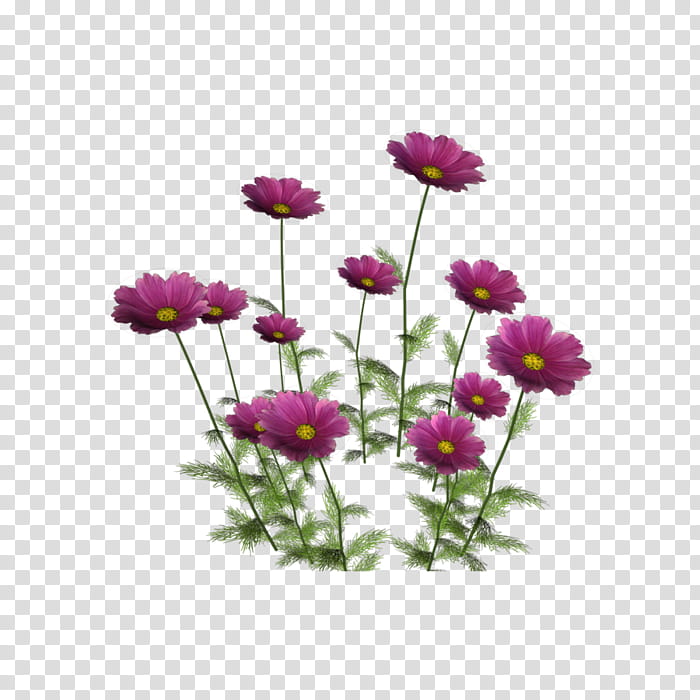 Drawing Of Family, Flower, Rendering, Plants, Violet, Purple, Annual Plant, Cut Flowers transparent background PNG clipart