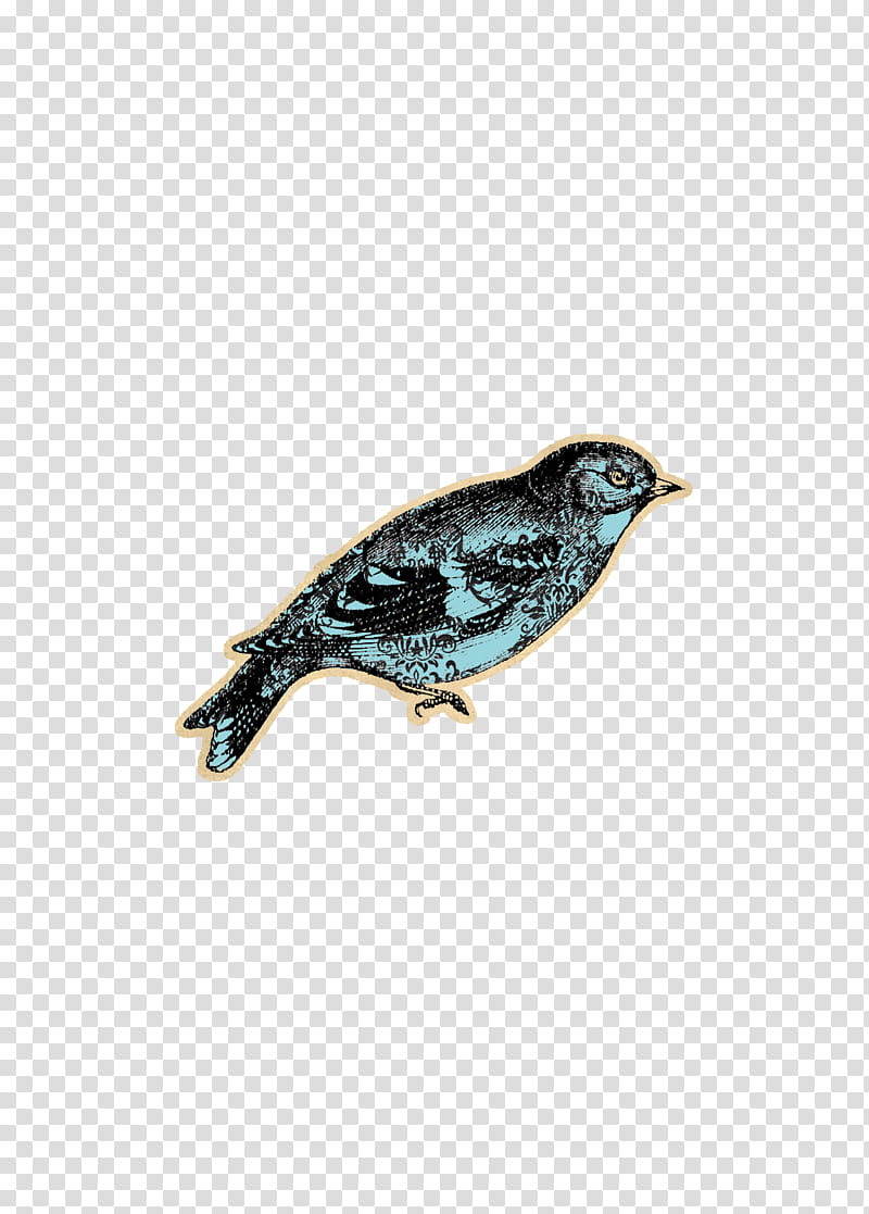 Fragile Song, blue bird pencil sketch transparent background PNG clipart