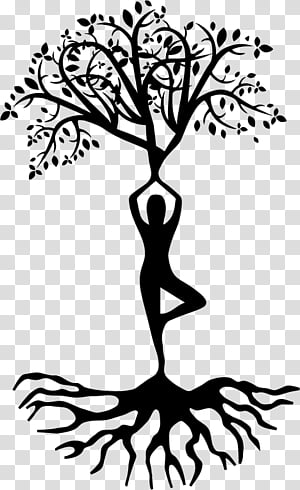 Tree Root, Vriksasana, Yoga, Tadasana, Ashtanga Yoga Tree Pesaro, Posture,  B K S Iyengar, Branch transparent background PNG clipart