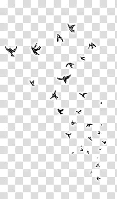 s, flock of birds transparent background PNG clipart