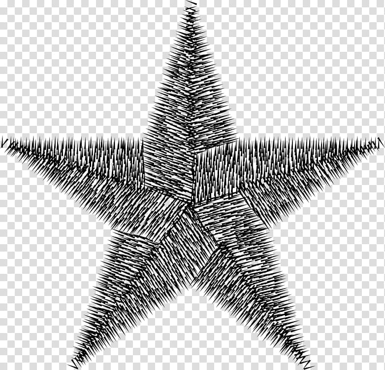 Star, Barnstar, Medal, Tree transparent background PNG clipart