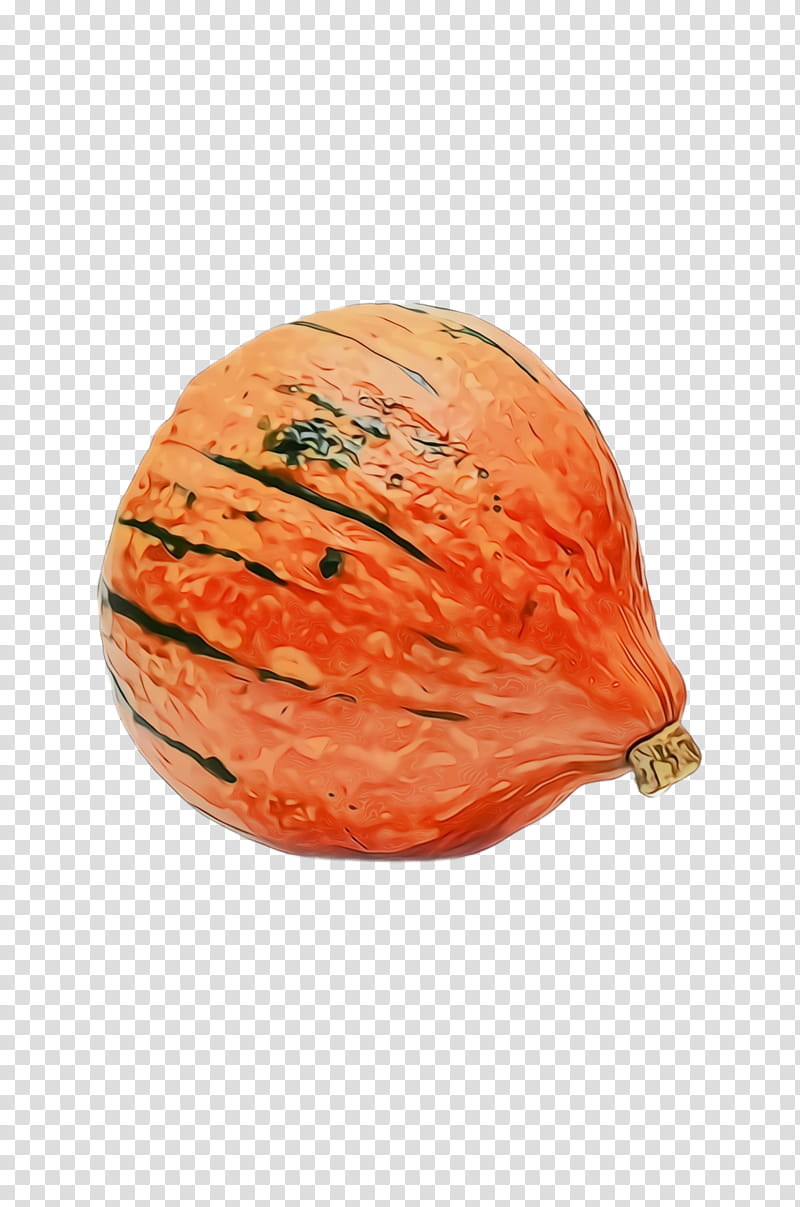 Orange, Watercolor, Paint, Wet Ink, Food, Vegetable, Peach transparent background PNG clipart