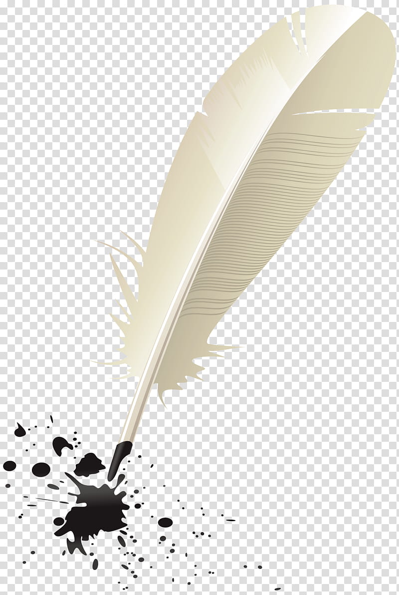 Feather, Pen, Quill, Wing, Writing Implement, Fountain Pen, Fashion Accessory, Natural Material transparent background PNG clipart