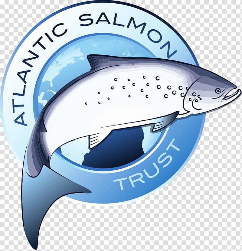 Fishing, Atlantic Salmon, Brown Trout, River Spey, River Tweed, Salmon Fishing, Angling, Chinook Salmon transparent background PNG clipart