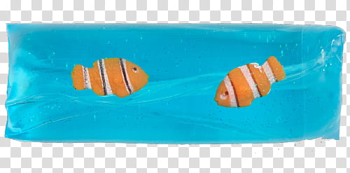 s, two clown fishes transparent background PNG clipart